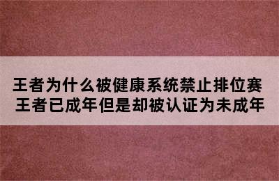 王者为什么被健康系统禁止排位赛 王者已成年但是却被认证为未成年